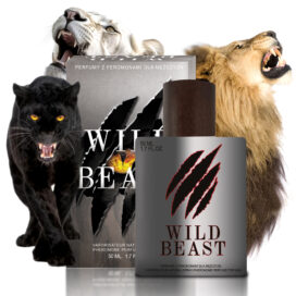 Wild Beast 50 ml feromony męskie
